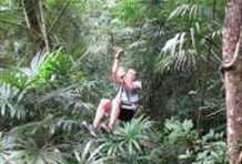 Tarzan Canopy Tour (Zipline)